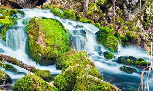 Springs and waterfalls of river Grza photo