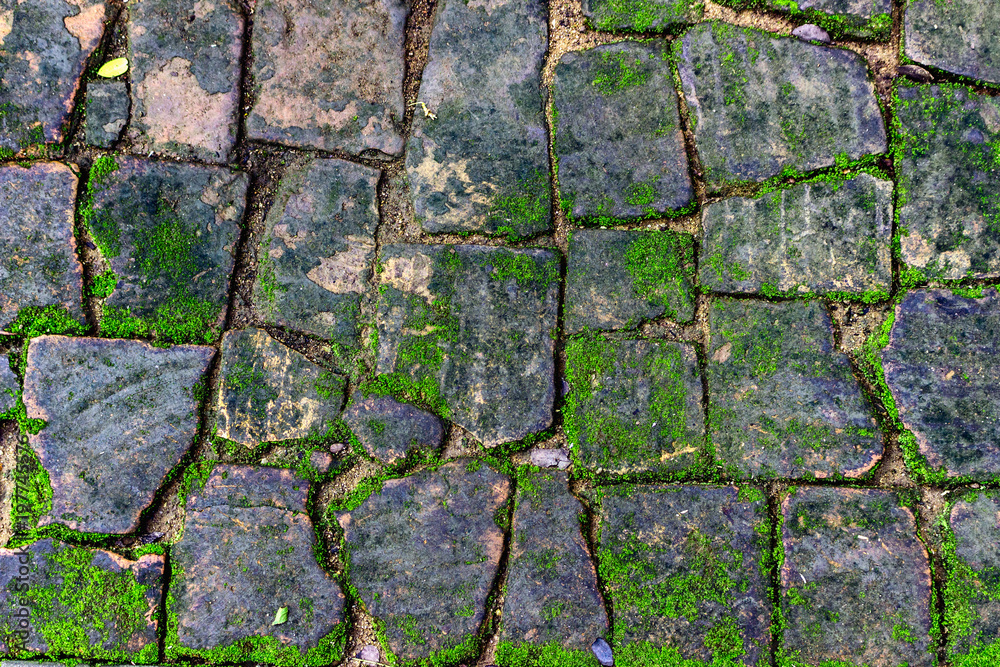 Obraz premium Old brick wall background on the street.
