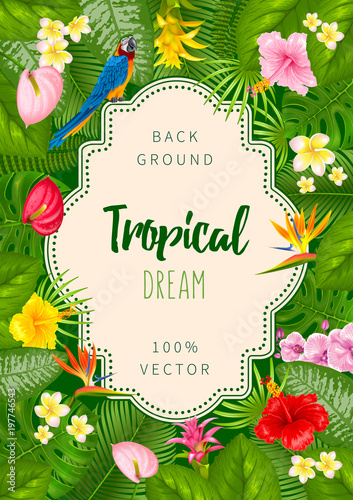 Summer tropical background design