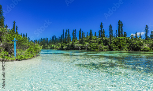 Картината върху платно Isle of Pines (L'Île-des-Pins), New Caledonia