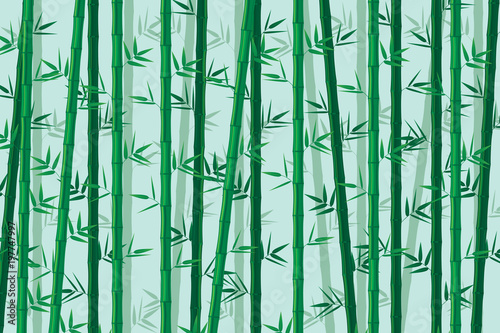 Naklejka Zielony bambusowy tło. Ilustracji wektorowych