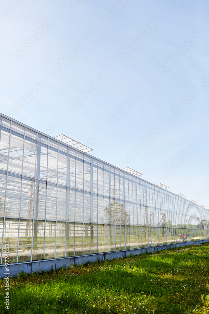 Exterior of large glasshouse on farm of contemporary farmer with green grass near by