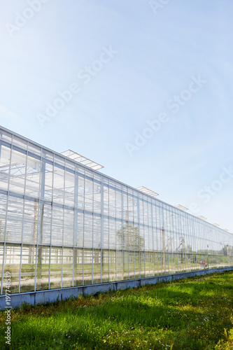 Exterior of large glasshouse on farm of contemporary farmer with green grass near by © pressmaster
