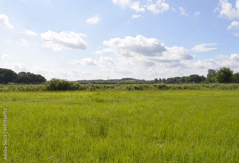 Meadows and trees on the Baltic Sea Island Usedom, Germany, under a blue sky with white clouds and a railroad embankment at the horizon Meadows and trees on the Baltic Sea Island Usedom, Germany, under a blue sky with white clouds and a railroad embankment at the horizon
