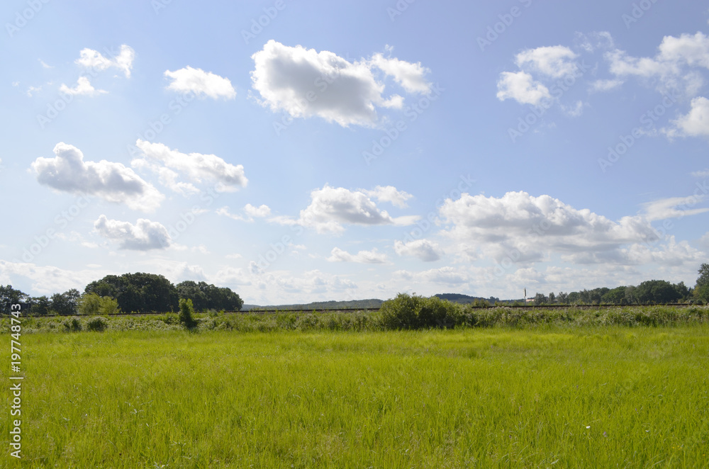 Meadows and trees on the Baltic Sea Island Usedom, Germany, under a blue sky with white clouds and a railroad embankment at the horizon