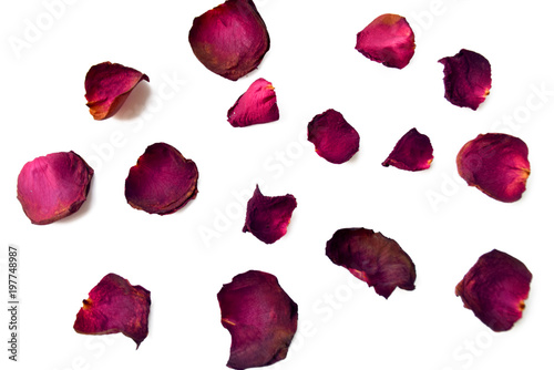 Dry petal of rose isolated on white background © หอมกลิ่น กล้วยไม้