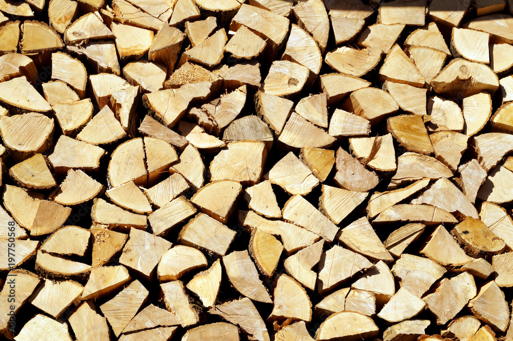 Chopped wood, stacked in a woodpile. Chopped wood, stacked in a woodpile.