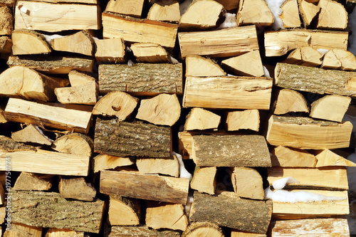 Obraz na płótnie Chopped wood, stacked in a woodpile. w salonie