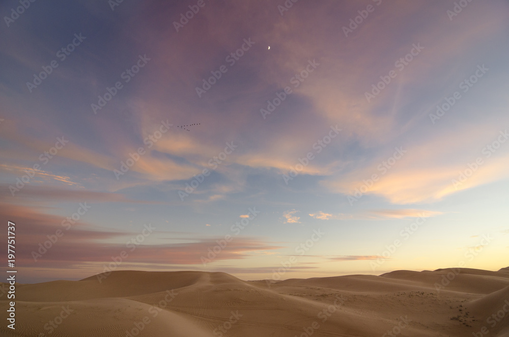 Algodones Dunes, California, USA. Sand dunes. Sand landscape. Sunset sand landscape. Sunset dunes. Sand dunes and sunset sky.