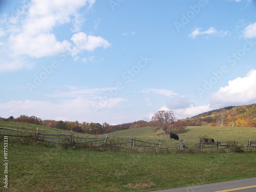 Autumn Grazing