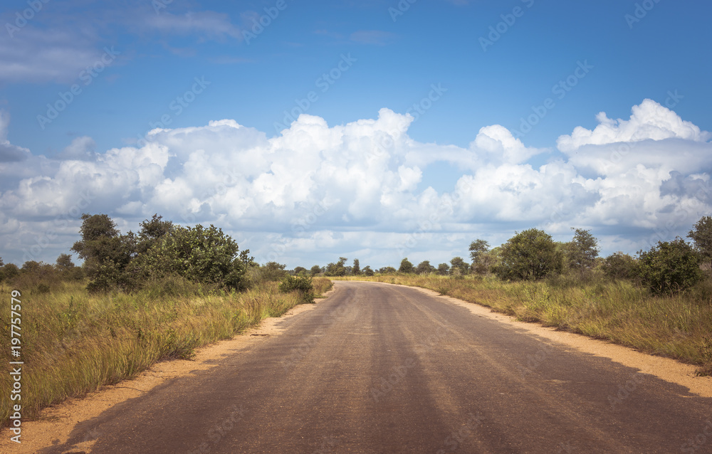road in the kruger national park in south africa
