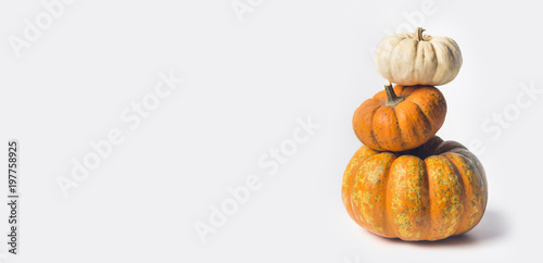 Stack of ripe pumpkins on white background, front view, copy space for text