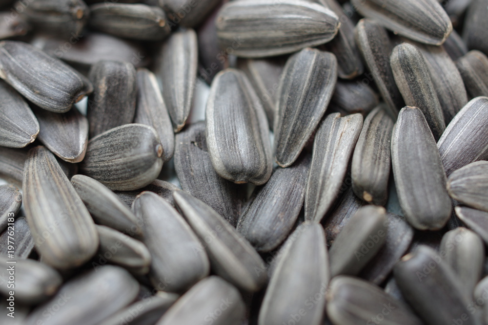 sunflower seeds sunflower seeds