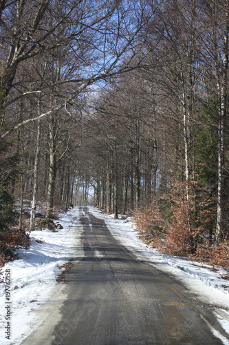 spring sun has melted the snow on the small gravel road © M.Ekelund