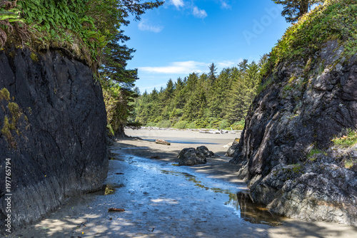 Obraz na płótnie Tofino Picific-Rim-Nationalpark in Kanada