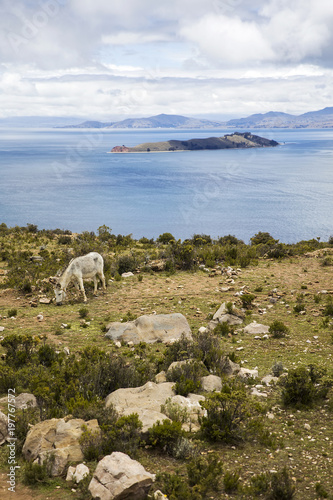 Isla del Sol on lake Titica...