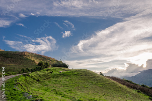 Fototapeta Naklejka Na Ścianę i Meble -  landscape pacefully with a blue skye and green mountains