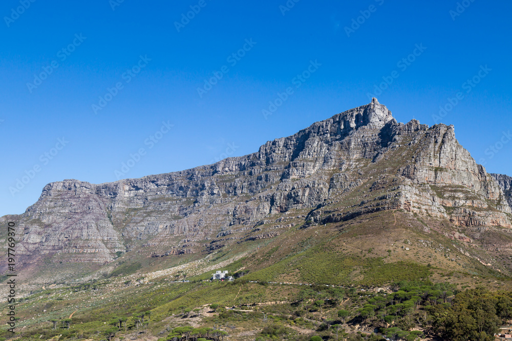A View of Table Mountain