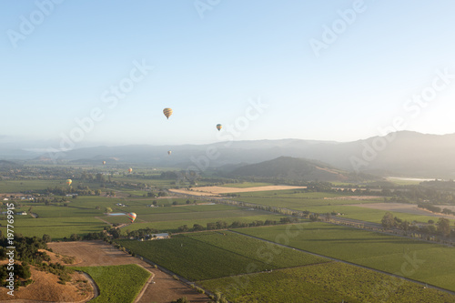 Aerial view of the vineyards of Napa Valley, California, with hot air balloons in the sky 