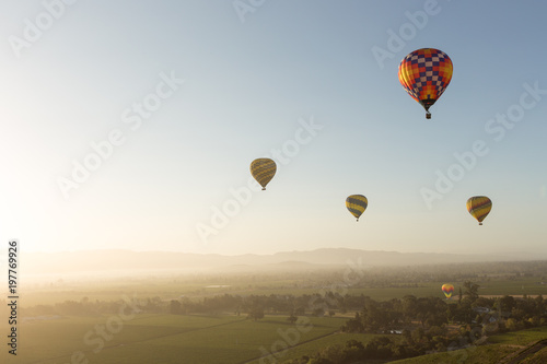 Multiple hot air balloons over the vineyards of Napa Valley at dawn