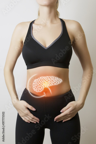 Slika na platnu woman body with pancreas visualisation