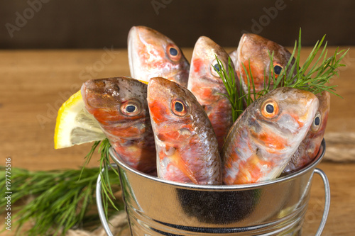 barbun fish in a metal bucket with dill and lemon photo