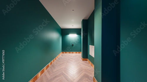 Billede på lærred Dressing room, in an expensive house, in emerald green