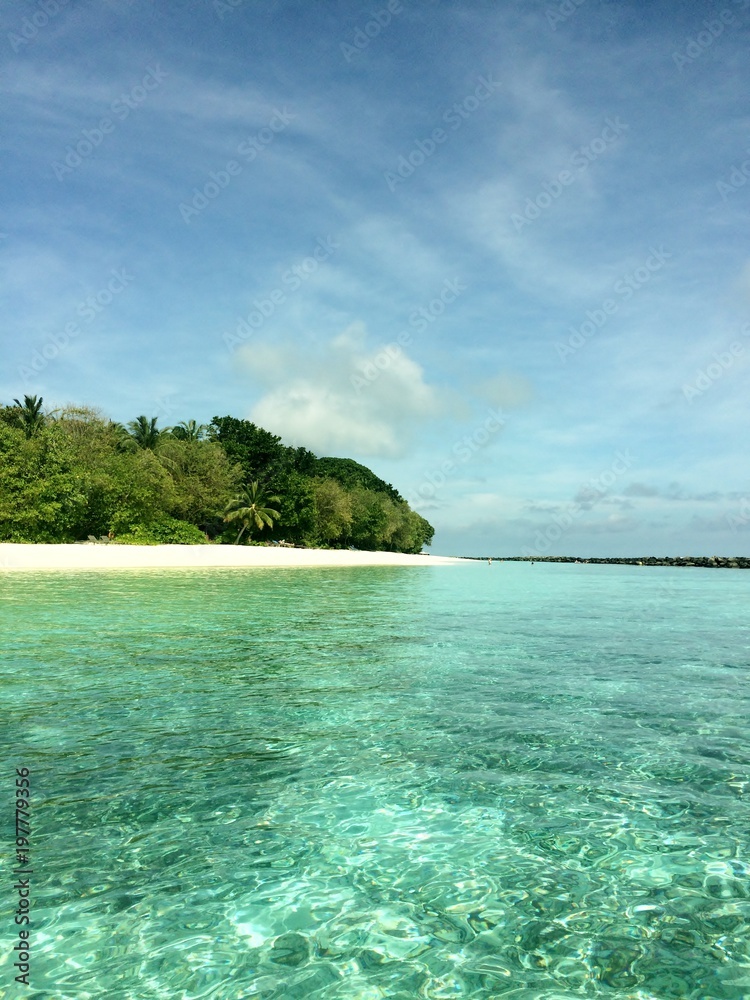 Fototapeta premium Island