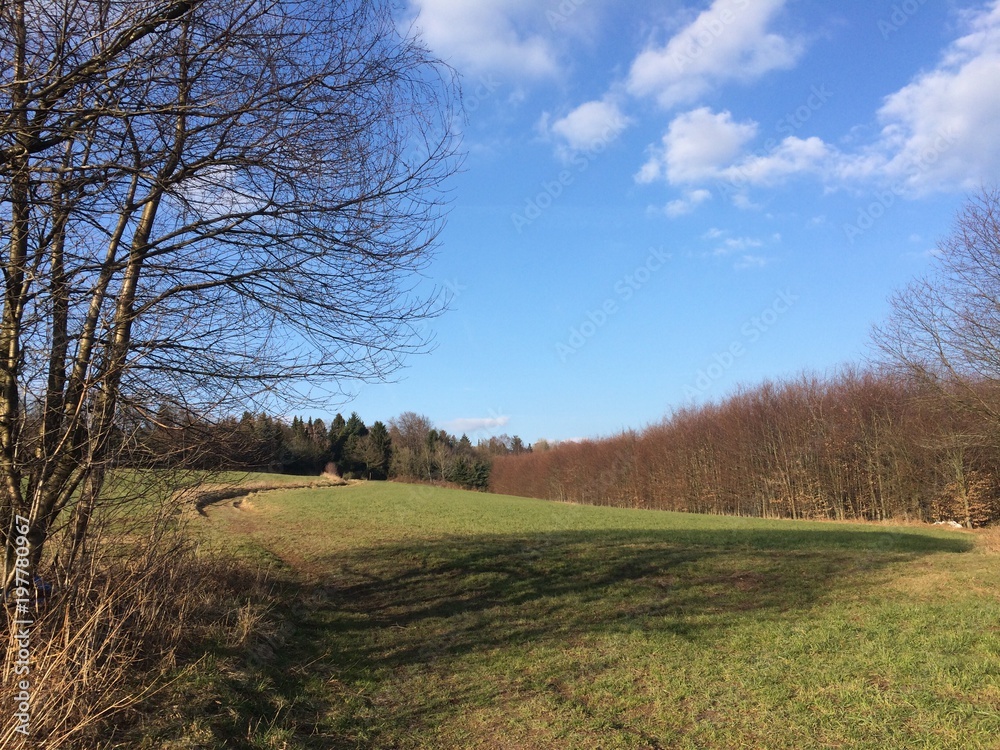 Naturlandschaft im Frühling