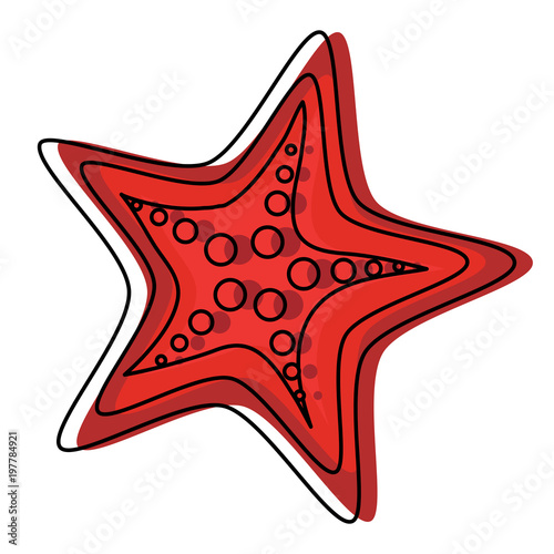 sea star icon over white background, colorful design. vector illustration