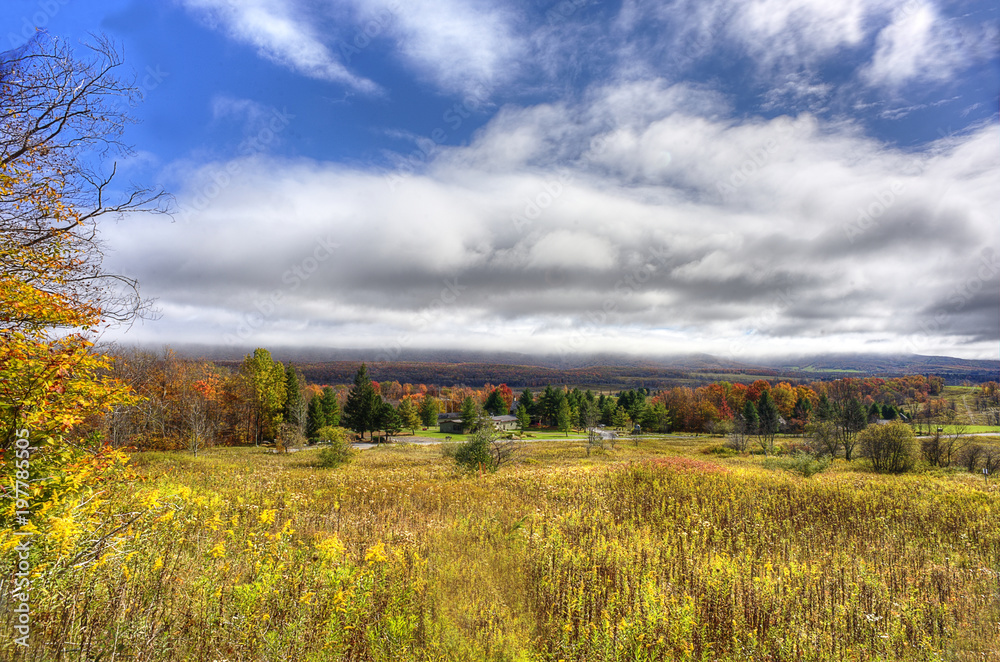 Naklejka premium Fall scene in Canaan Valley