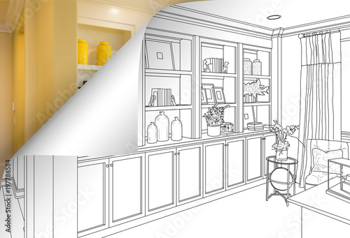 Built-in Shelves and Cabine...