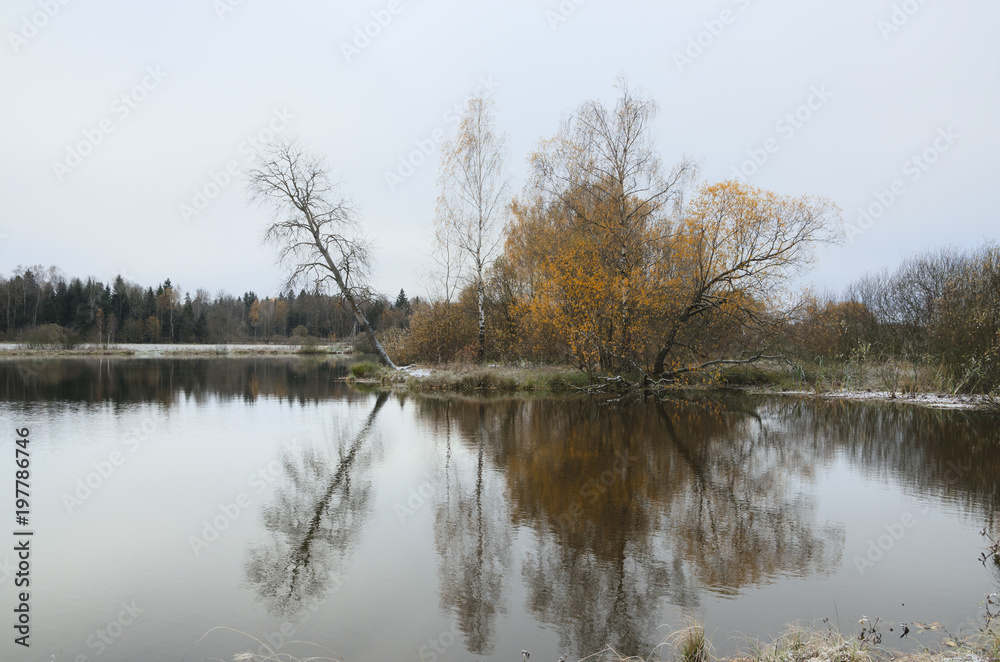 Cloudy autumn landscape with trees growing on the bank of pond.Overcast sky.Moscow region,Russia.