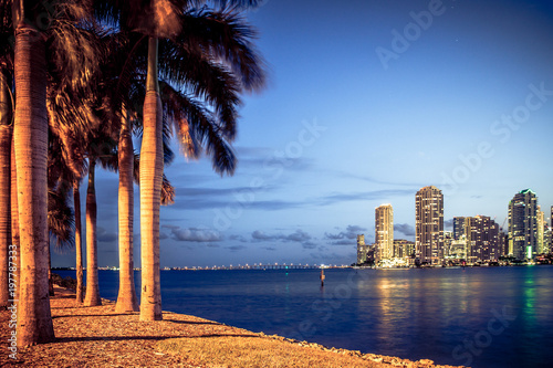 Miami Florida at night with skyline buildings, bay and palm trees © littleny