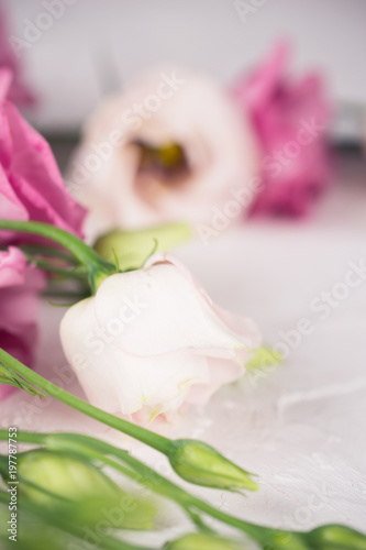 Lisianthus flower bouquet for celebration. Eustoma flower floral frame. Space for text.