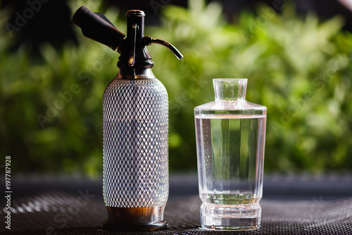 Foto A water siphon and a glass decanter of clean drinking water stand on a table amidst beautifully blurred green plants