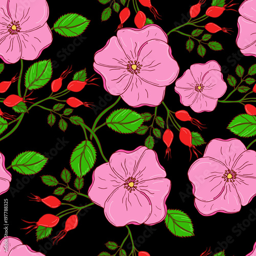 Vector seamless floral background with pink flowers of dog roses