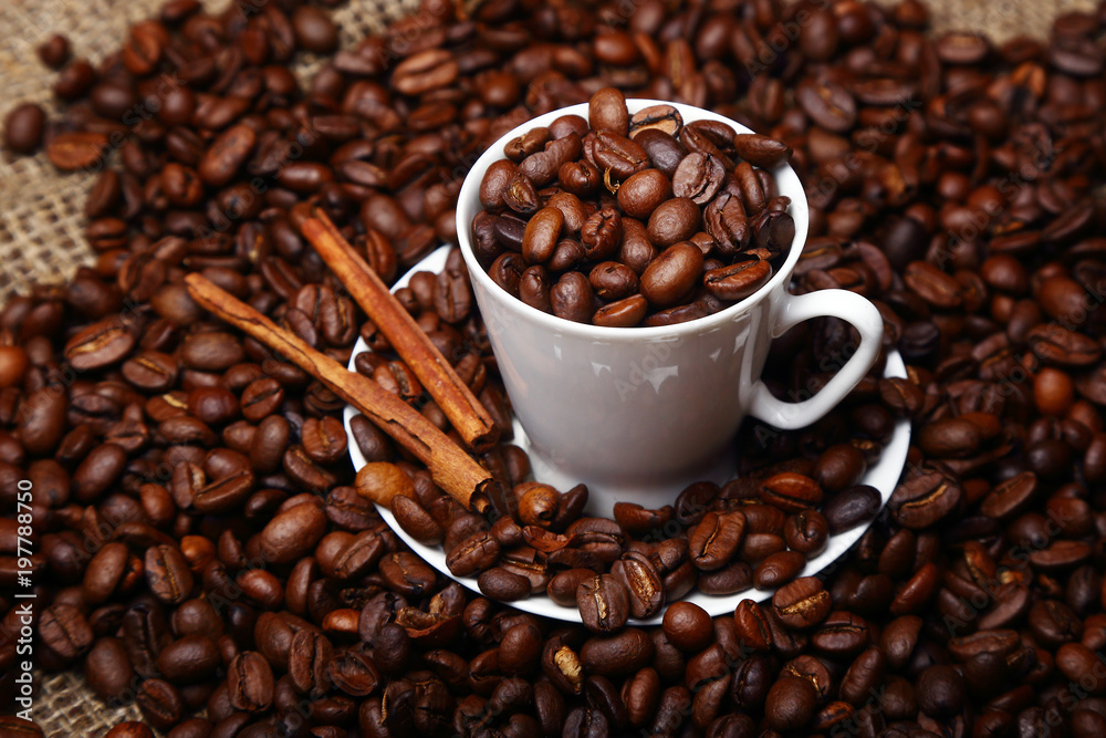 Coffee beans, white cup and saucer, cinnamon sticks. Coffee beans, white cup and saucer, cinnamon sticks.