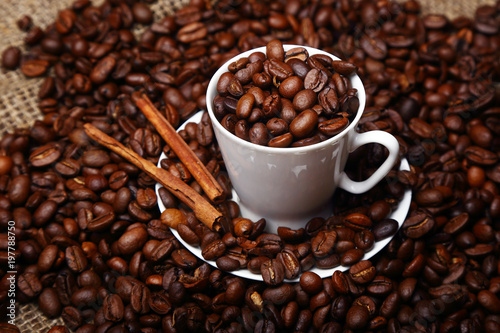 Coffee beans, white cup and saucer, cinnamon sticks.