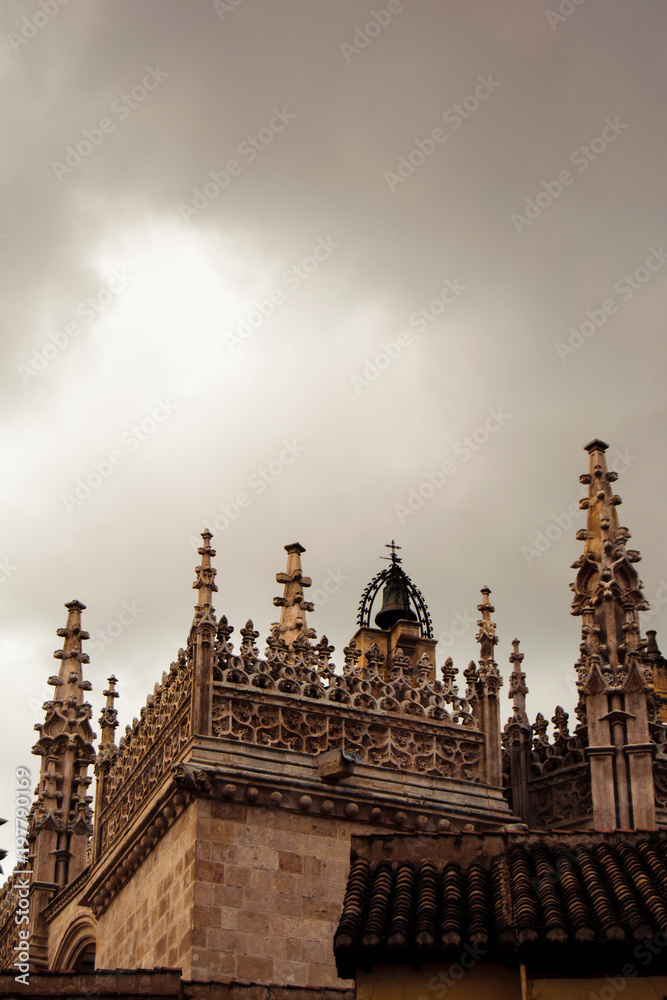 Detail of Granada's cathedral roof