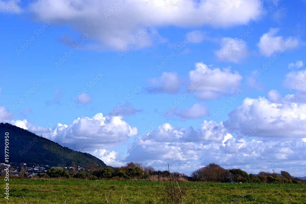 Fototapeta premium SONY DSC