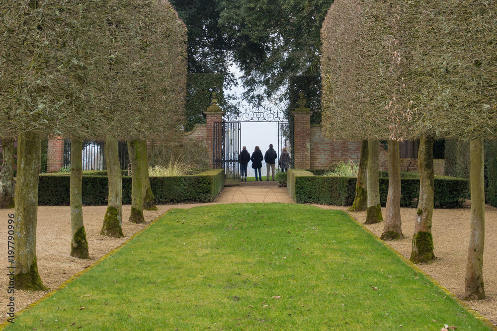 Naklejka premium people admiring view at end of classical formal english garden through avenue of trees in Winter
