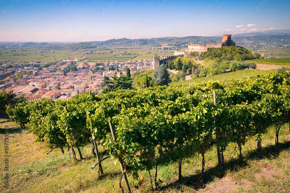 view of Soave (Italy) and its famous medieval castle