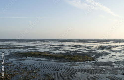 Foehr / Germany: View over the dry fallen Frisian Wadden Sea near Witsum at ebb tide