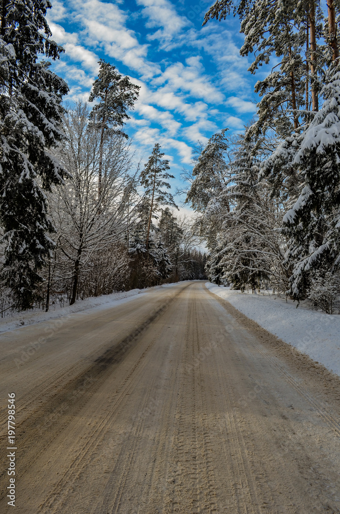 Fototapeta premium Winter road through the forest