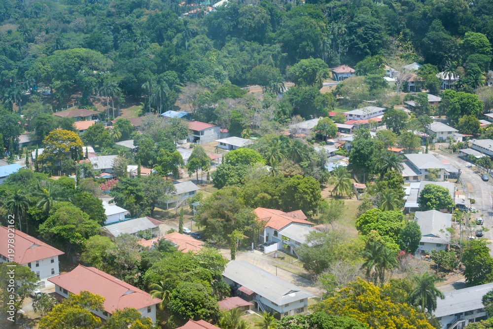 residential area aerial - houses, trees and gardens