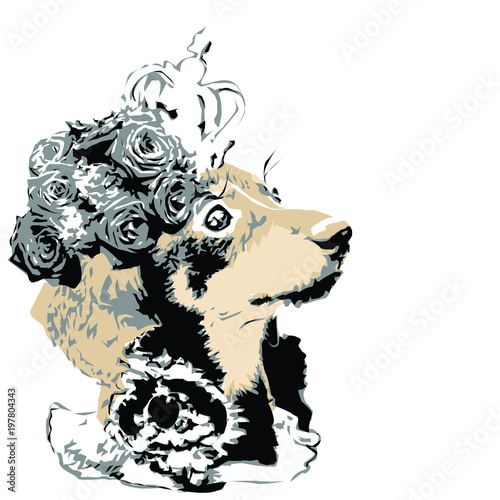 glamourous dog