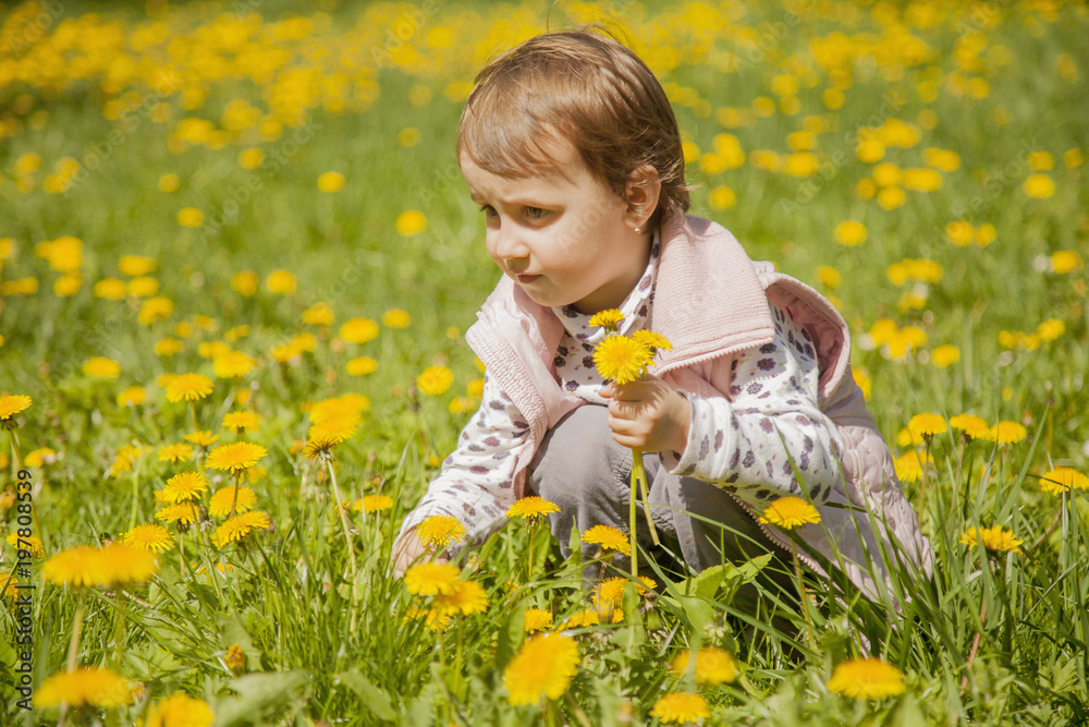 Happy childhood. The little girl collects bouquet of wildflowers. (Recreation, summer, nature, vacation concept) Happy childhood. The little girl collects bouquet of wildflowers. (Recreation, summer, nature, vacation concept)