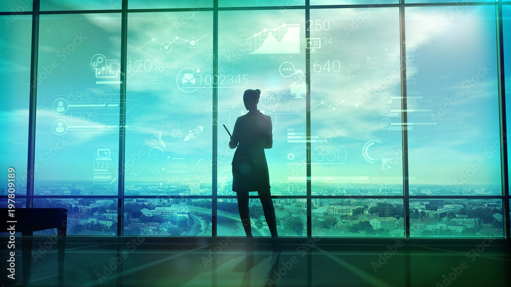Silhouette of woman and corporate infographics