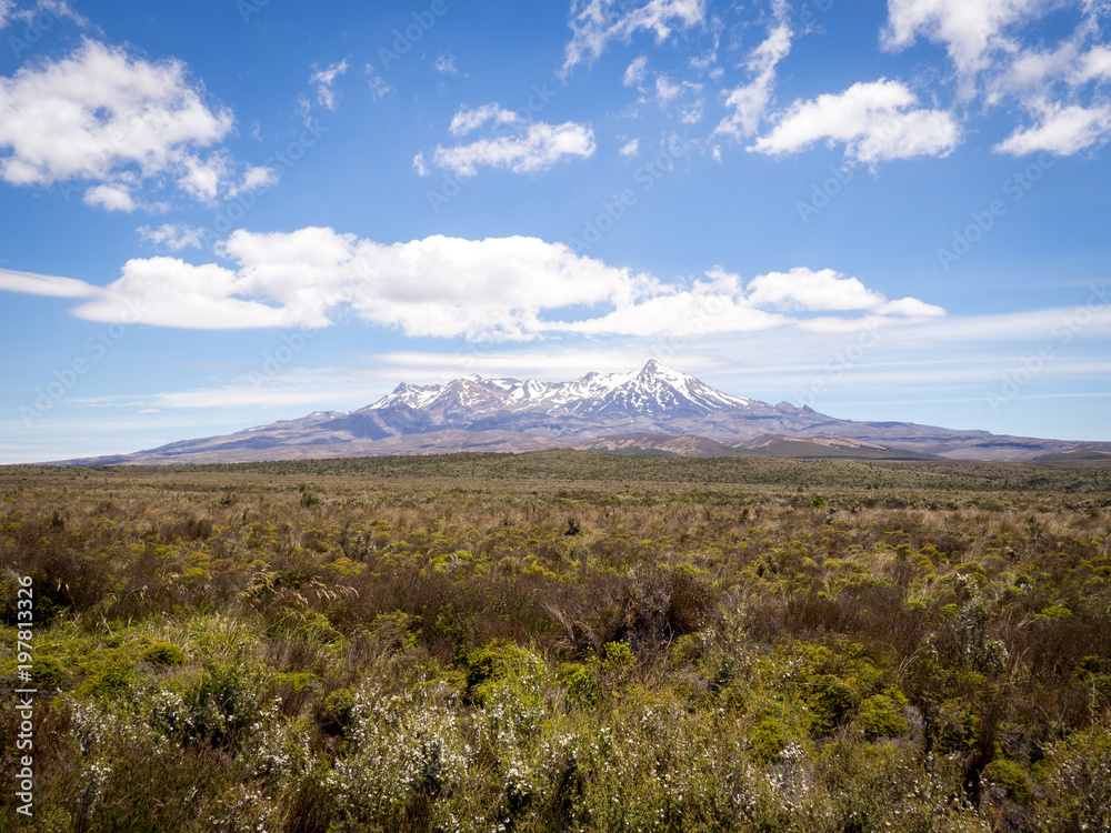 Summer Landscape of Mt. Ruapehu, Tongariro National Park, New Zealand